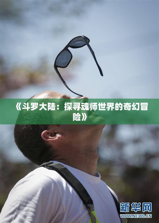 《斗罗大陆：探寻魂师世界的奇幻冒险》