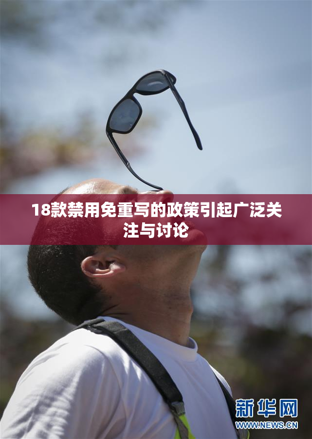 18款禁用免重写的政策引起广泛关注与讨论