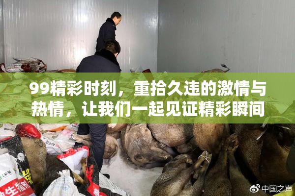 99精彩时刻，重拾久违的激情与热情，让我们一起见证精彩瞬间！