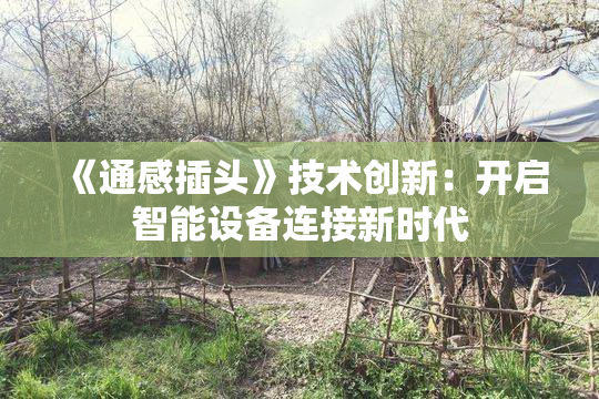 《通感插头》技术创新：开启智能设备连接新时代