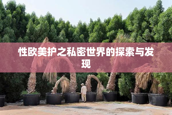 性欧美护之私密世界的探索与发现