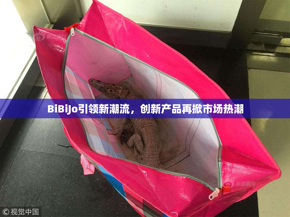 BiBiJo引领新潮流，创新产品再掀市场热潮