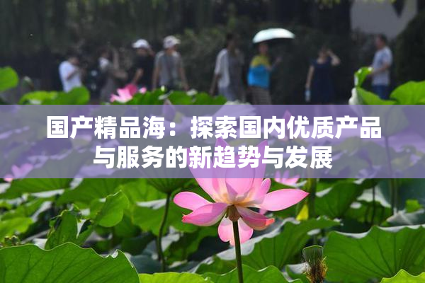 国产精品海：探索国内优质产品与服务的新趋势与发展