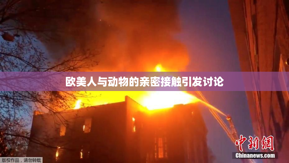 欧美人与动物的亲密接触引发讨论
