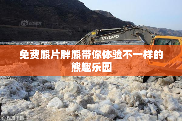 免费熊片胖熊带你体验不一样的熊趣乐园