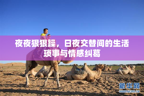 夜夜狠狠躁，日夜交替间的生活琐事与情感纠葛