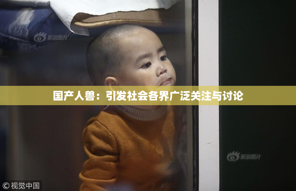 国产人兽：引发社会各界广泛关注与讨论