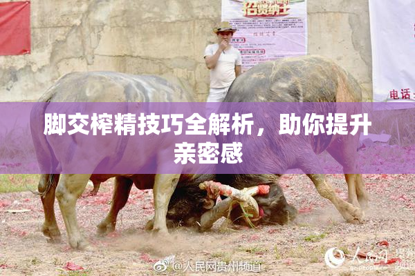 脚交榨精技巧全解析，助你提升亲密感