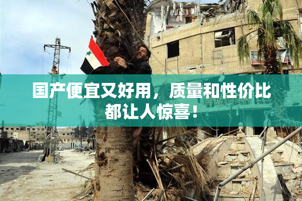 国产便宜又好用，质量和性价比都让人惊喜！