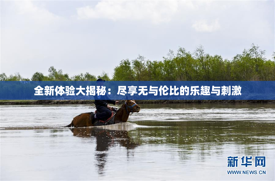 全新体验大揭秘：尽享无与伦比的乐趣与刺激