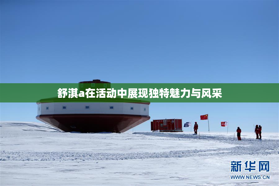 舒淇a在活动中展现独特魅力与风采