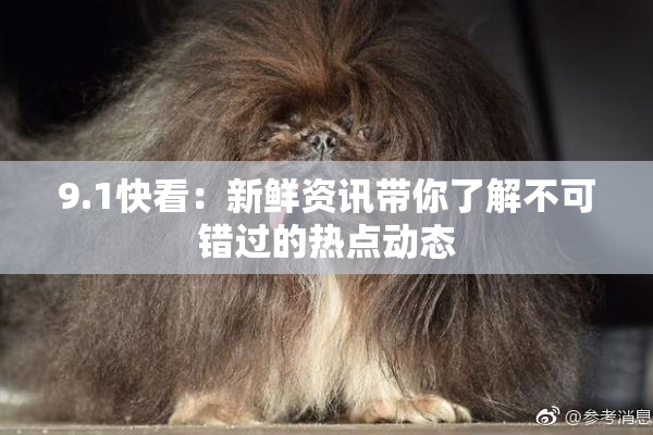 9.1快看：新鲜资讯带你了解不可错过的热点动态
