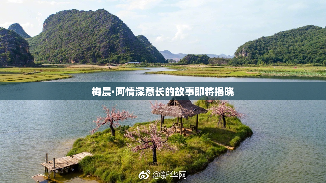 梅晨·阿情深意长的故事即将揭晓