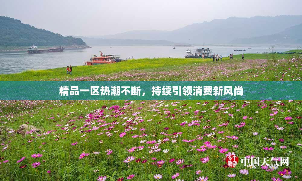 精品一区热潮不断，持续引领消费新风尚