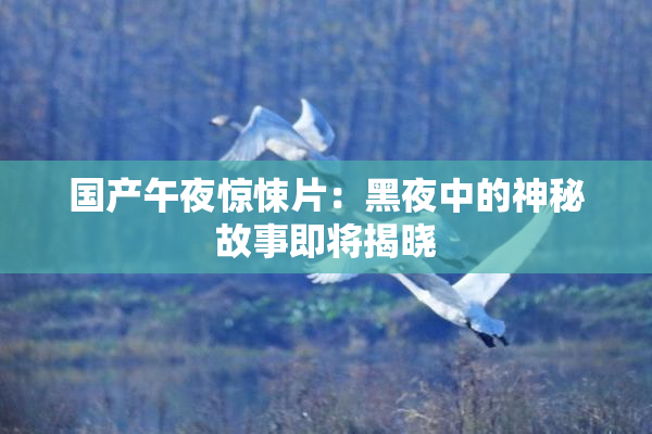 国产午夜惊悚片：黑夜中的神秘故事即将揭晓