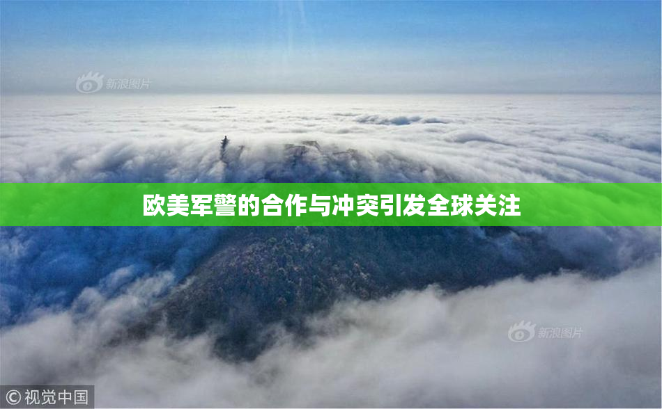 欧美军警的合作与冲突引发全球关注