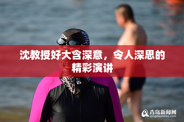 沈教授好大含深意，令人深思的精彩演讲