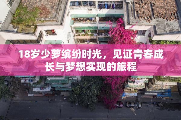 18岁少萝缤纷时光，见证青春成长与梦想实现的旅程