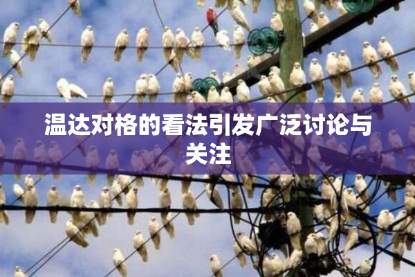 温达对格的看法引发广泛讨论与关注