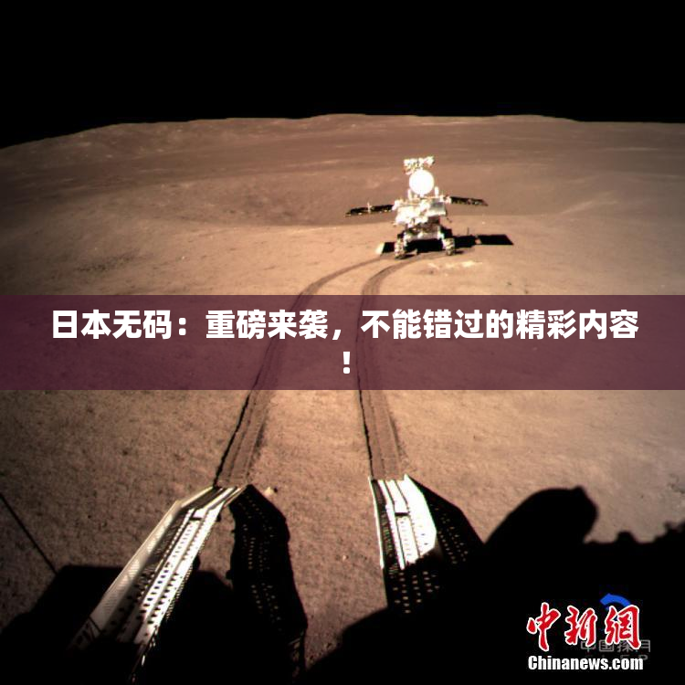 日本无码：重磅来袭，不能错过的精彩内容！