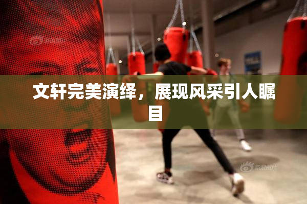 文轩完美演绎，展现风采引人瞩目