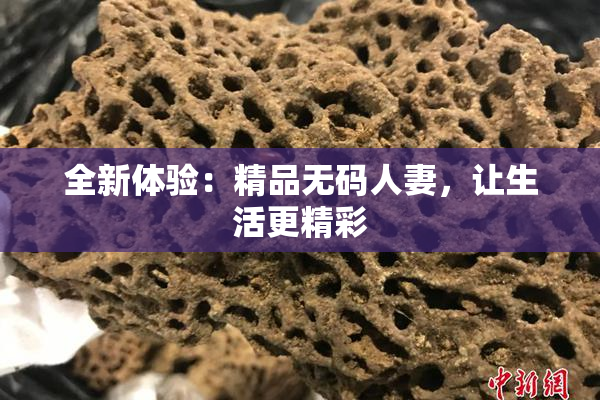 全新体验：精品无码人妻，让生活更精彩