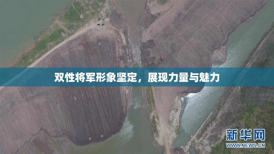 双性将军形象坚定，展现力量与魅力