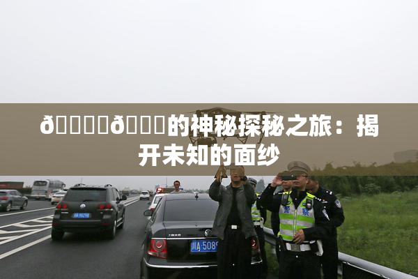 🔞‌🍌的神秘探秘之旅：揭开未知的面纱