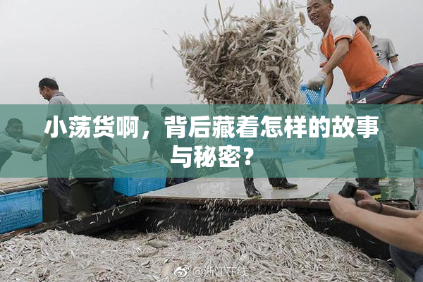 小荡货啊，背后藏着怎样的故事与秘密？