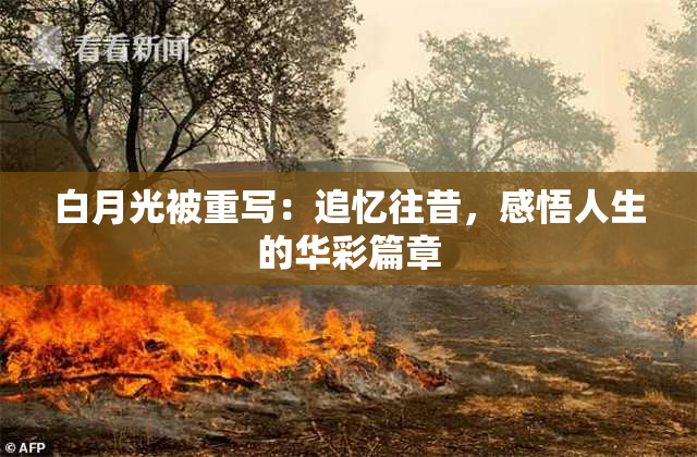 白月光被重写：追忆往昔，感悟人生的华彩篇章