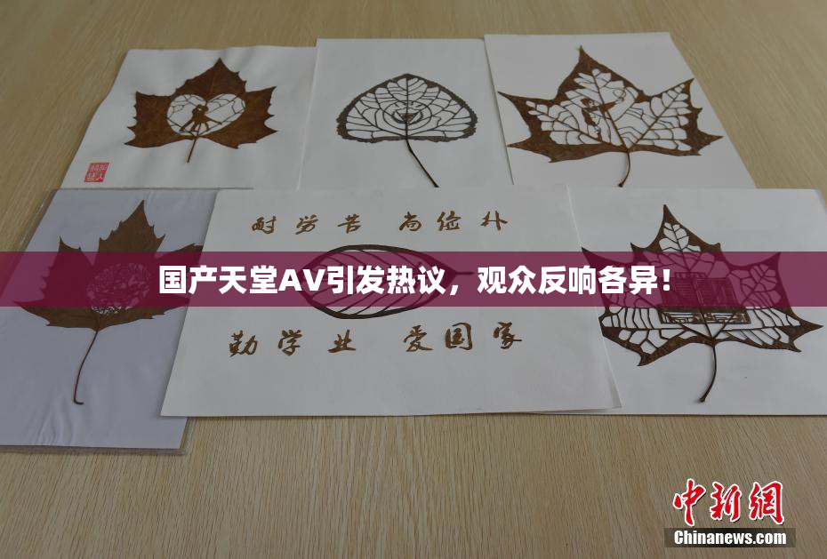 国产天堂AV引发热议，观众反响各异！