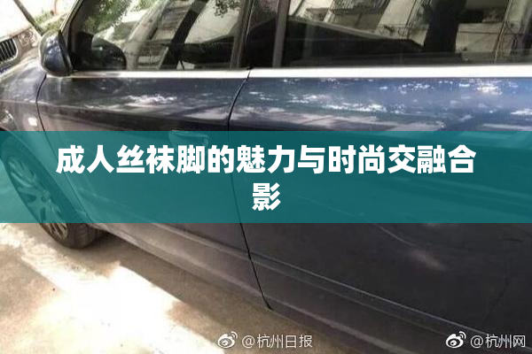 成人丝袜脚的魅力与时尚交融合影