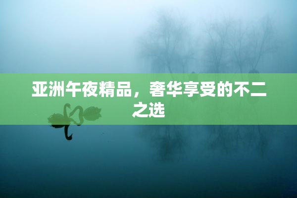 亚洲午夜精品，奢华享受的不二之选