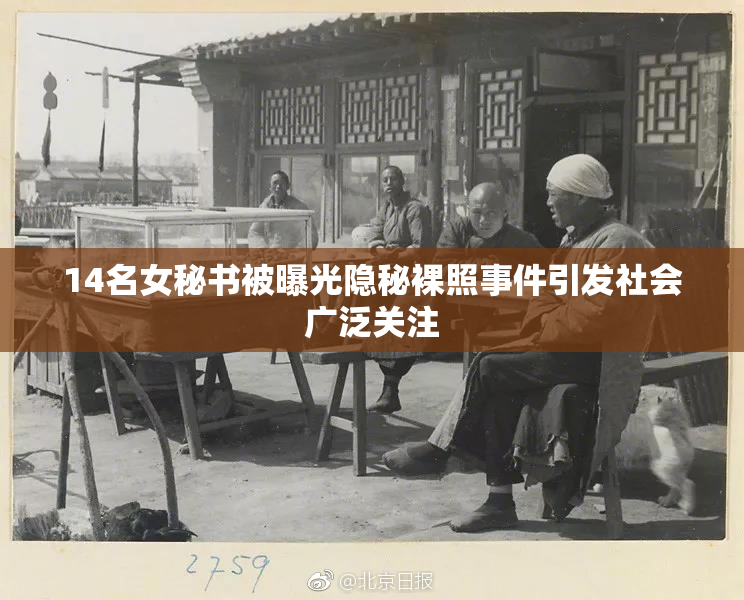 14名女秘书被曝光隐秘裸照事件引发社会广泛关注