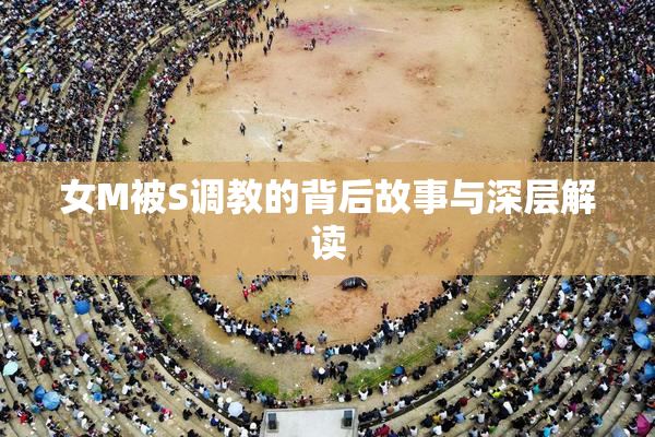 女M被S调教的背后故事与深层解读