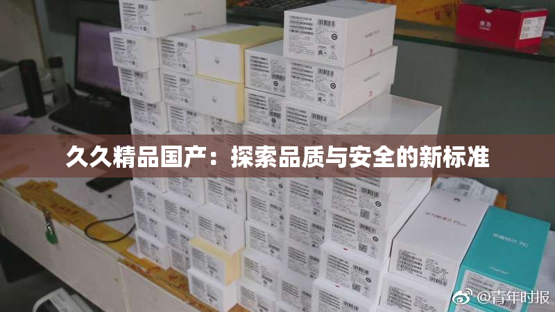 久久精品国产：探索品质与安全的新标准