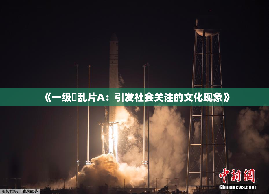 《一级婬乱片A：引发社会关注的文化现象》