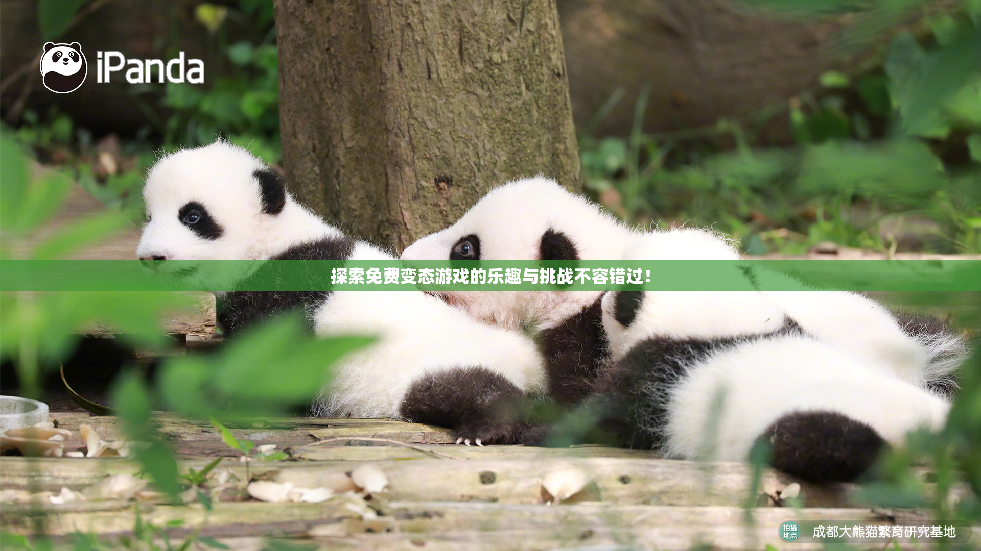 探索免费变态游戏的乐趣与挑战不容错过！