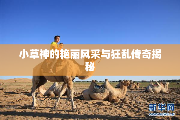 小草神的艳丽风采与狂乱传奇揭秘