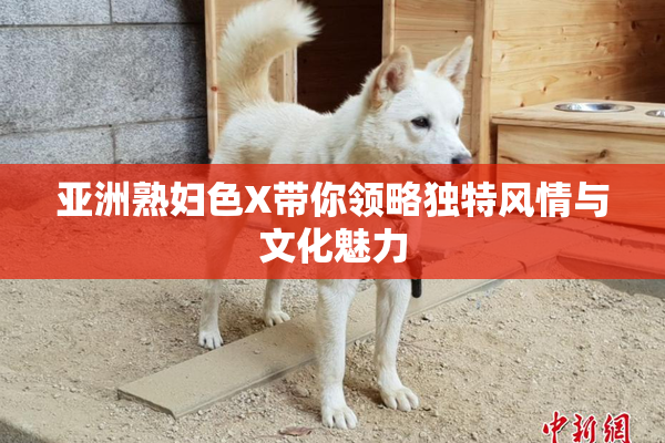 亚洲熟妇色X带你领略独特风情与文化魅力