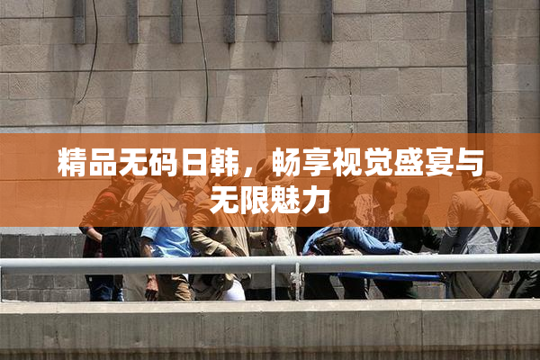 精品无码日韩，畅享视觉盛宴与无限魅力