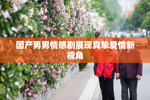 国产男男情感剧展现真挚爱情新视角