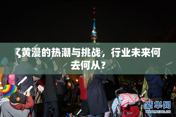 ζ黄漫的热潮与挑战，行业未来何去何从？