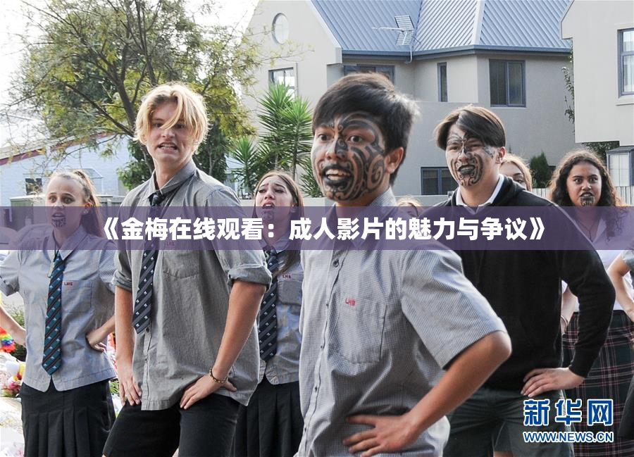 《金梅在线观看：成人影片的魅力与争议》