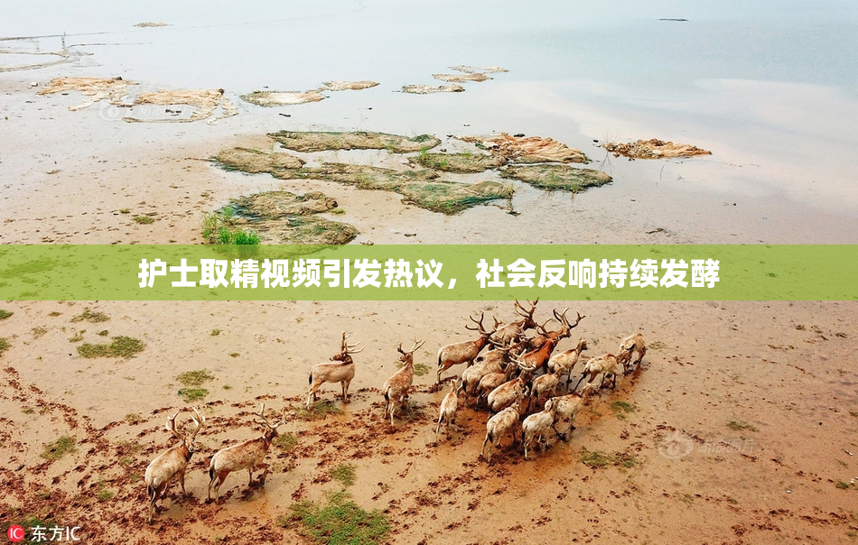 护士取精视频引发热议，社会反响持续发酵