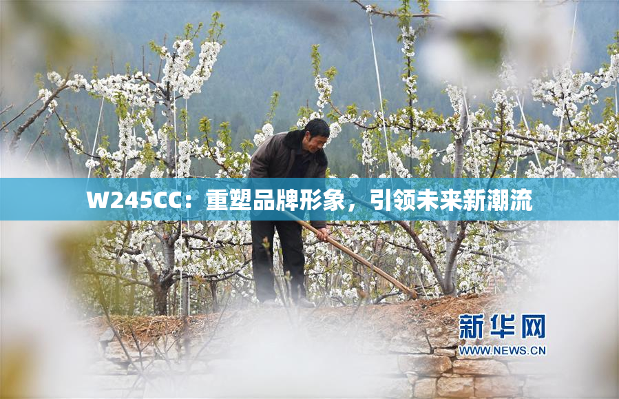 W245CC：重塑品牌形象，引领未来新潮流