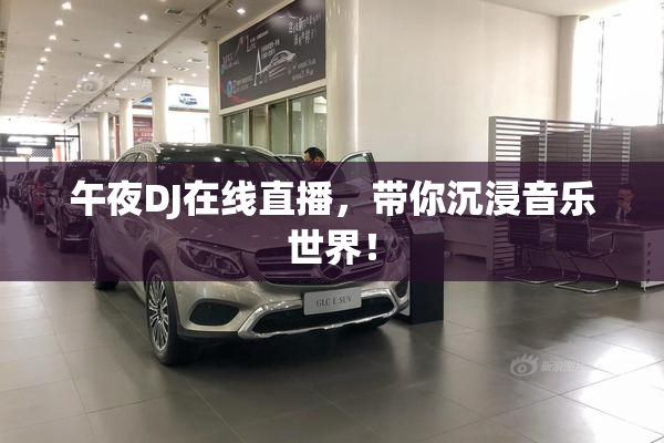 午夜DJ在线直播，带你沉浸音乐世界！