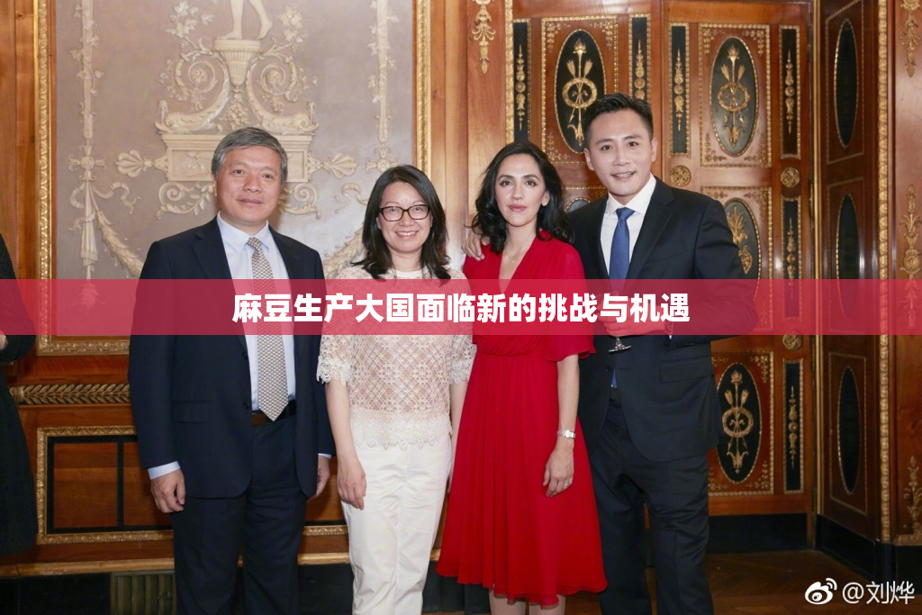 麻豆生产大国面临新的挑战与机遇