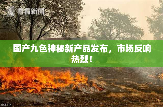 国产九色神秘新产品发布，市场反响热烈！
