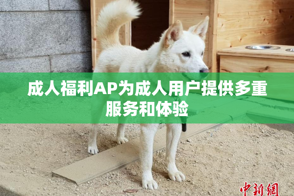 成人福利AP为成人用户提供多重服务和体验